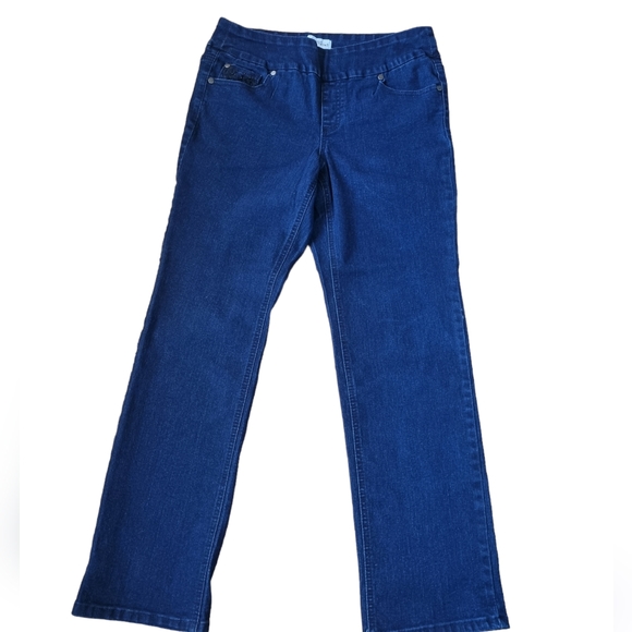 Northern Reflections Dark Denim Embroidered Jeans - Picture 3 of 9